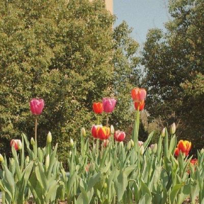 澳门·威斯尼斯wns888入口