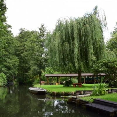 米博体育官方网站入口下载截图