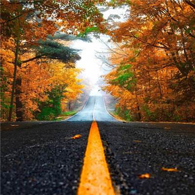 澳门精准正版资料大全手机app下载