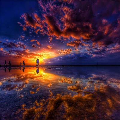 押注篮球的app下载手机版