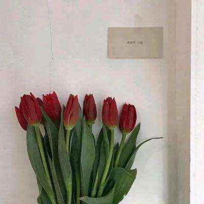 万博·体育下载手机版